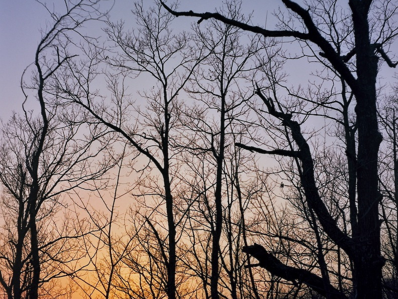 Sheltowee Trace sunset